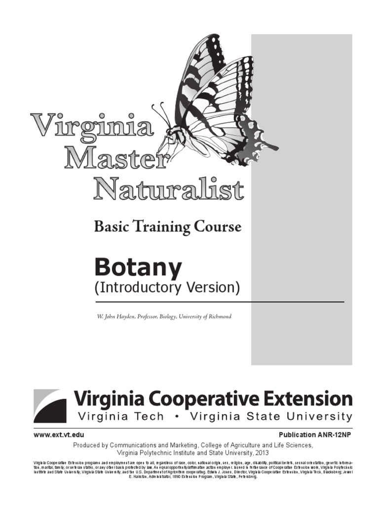 Botany: Basic Training Course | PDF | Root | Plant Stem