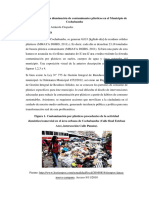 Trabajo Final PDF