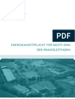 Leitfaden Energieaudits Fin