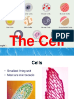 General Biology 1: The Cells