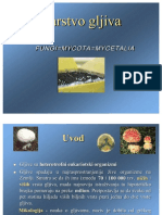 Gljive PDF