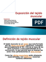 T.MUSCULAR.pptx