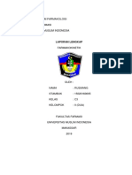 Format Laporan Lengkap Farkin