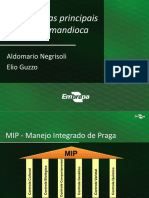 Palestra Controle Pragas Mandioca