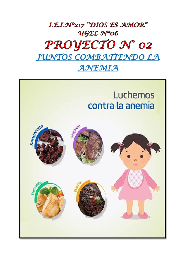 Proyecto Escolar: Lucha Contra la Anemia | PDF | Alimentos