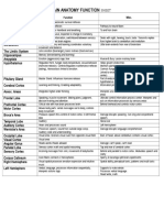 brain-anatomy-function-cheat-sheet.doc