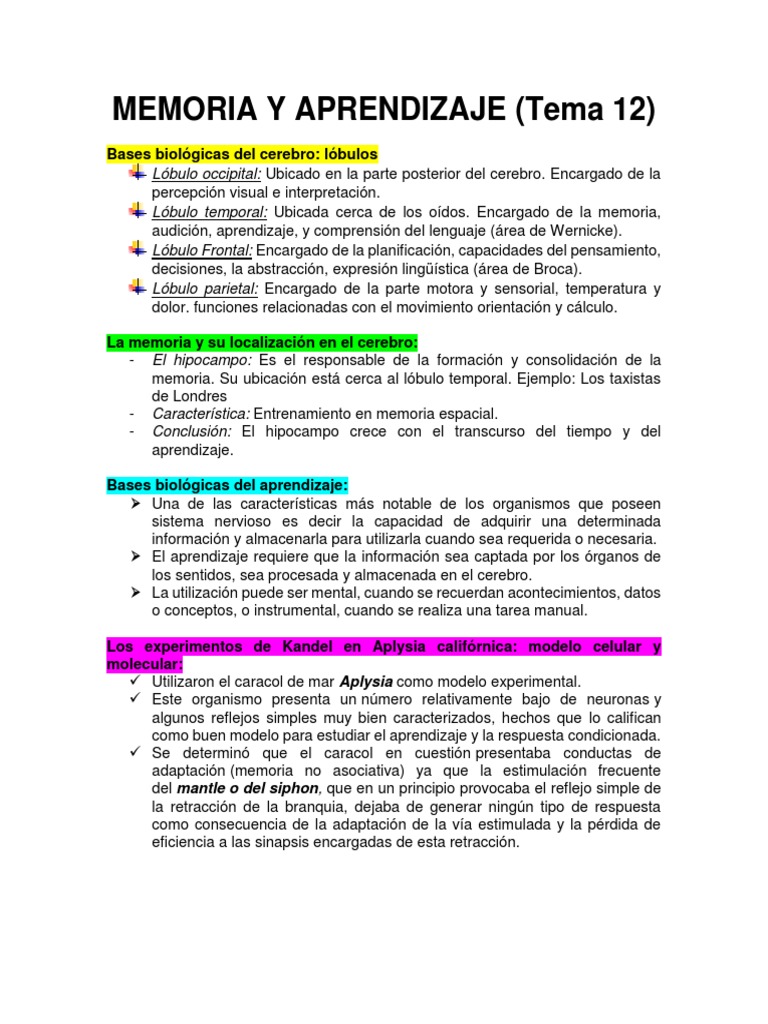 Memoria y Aprendizaje 12 Tema | PDF | Memoria | Hipocampo