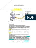 Neuron Neuroglia