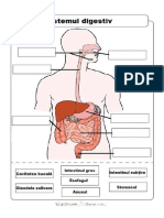 sistemul digestiv.pdf