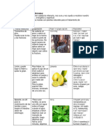 Recetas de plantas medicinales (1).docx