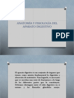 Anatomía y Fisiología Del Aparato Digestivo - PPTX A.C.J