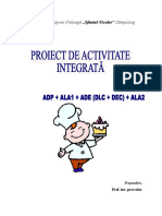 Proiect Didactic DLC Dec