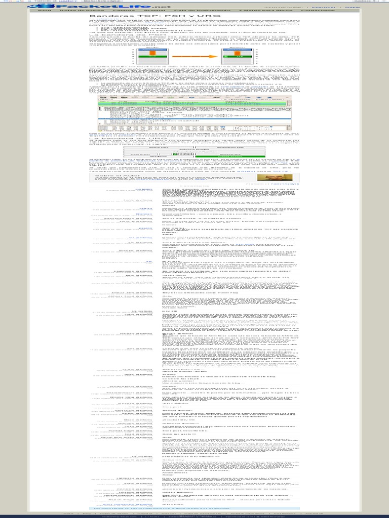 Banderas TCP - PSH y URG | PDF | Protocolo de Control de Transmisión ...