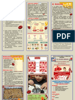 Triptico de Anemia Por Falta de Hierro