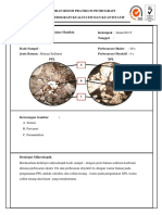 Petrografi Mineral Point Counting