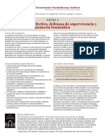 Desregulacion-afectiva-Nivel-1.pdf