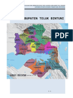 Peta Kabupaten Teluk Bintudsni