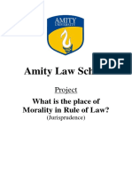 Place of Morality in Rule of Law - Jurisprudence Assignment