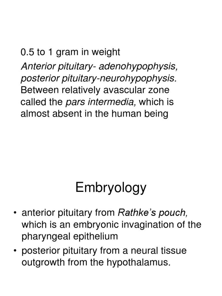 Anatomy and Function of Pituitary Gland | PDF | Wellness