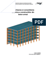 E - Proiect-Expertizare Beton PDF