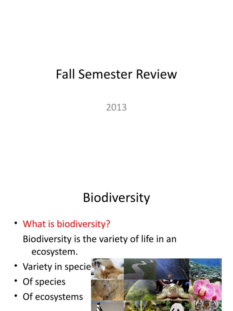 Understanding Biodiversity and Ecosystems | PDF | Weathering | Food Web