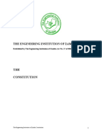 Eiz Constitution August 2010 Final Document