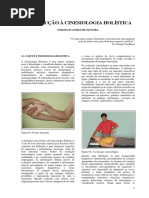 226021903-Introducao-a-Cinesiologia-Holistica.pdf