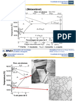 MPEM 1.1 - Ligas Ferrosas - Diagrama Fe-C