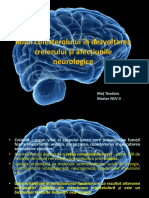 Rolul Colesterolului În Dezvoltarea Creierului Și Afecțiunile Neurologice2