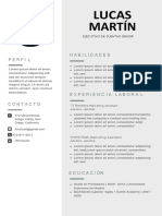 Nueva Plantilla Curriculum Vitae Gris Foto Lado