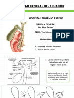 Vias Biliares