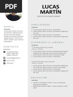 Nueva Plantilla Curriculum Vitae Gris Foto Lado Docx