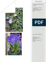 Assignment For Keukenhof Netherlands