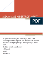 Mekanisme Hipertrofi Otot dan Faktor Penyebabnya