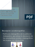 Caracterización Socio Demográfica de La Población Trabajadora