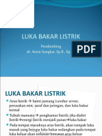 273450824-luka-bakar-listrik-ppt.ppt