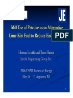 Mill Use of Petcoke.pdf