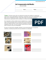 GP3_Guia_los_animales.pdf