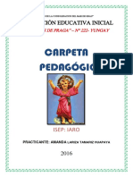 carpeta PEDAGOGICA DDD.docx