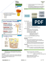 Acid Base Balance: Dr. Cauan December 2018