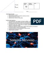 Sistema nervioso examen biología