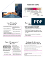 Chida 1 PDF