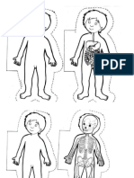 maquetas sistemas humanos