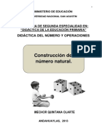 CONSTRUCCION DE NUMERO.pdf