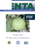 Guayaba.pdf