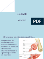 Musculo Esqueletico Uno PDF