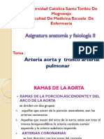 ANATOMIA_ARTERIA_AORTA_1 (1).pptx
