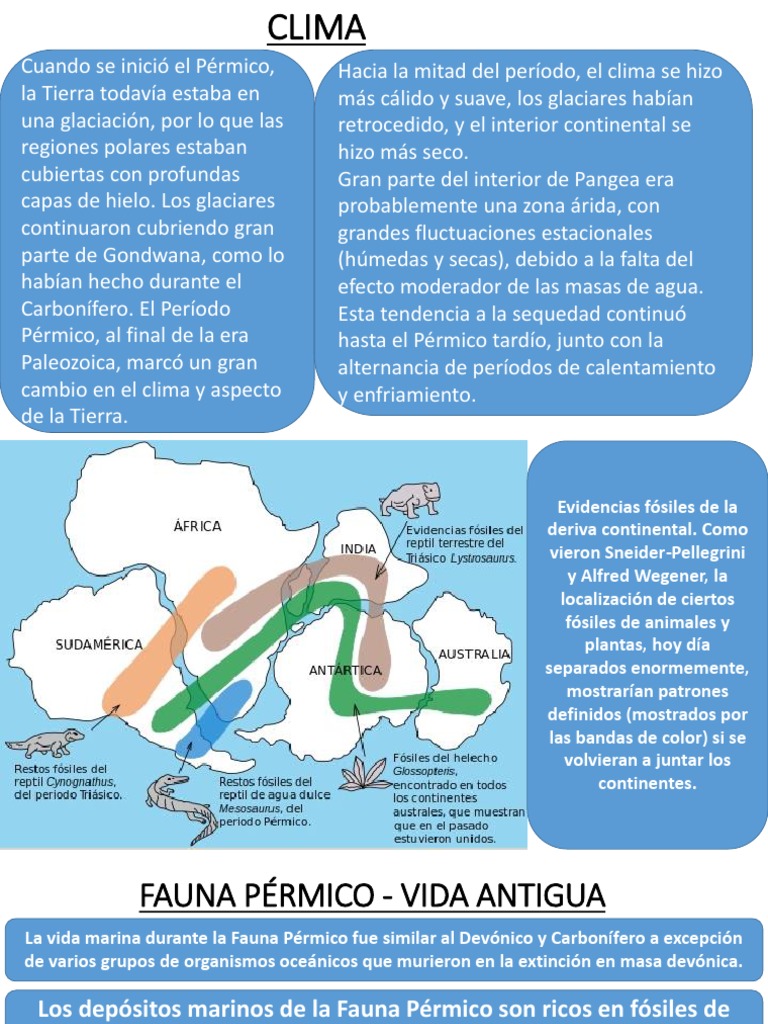 Fauna del Pérmico: Vida y Evolución | PDF | Organismos | Science