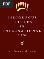 Indigenous-Peoples-in-International-Law.pdf