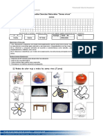 PRUEBA 1° BÁSICO CIENCIAS SERES VIVOS JUNIO.docx